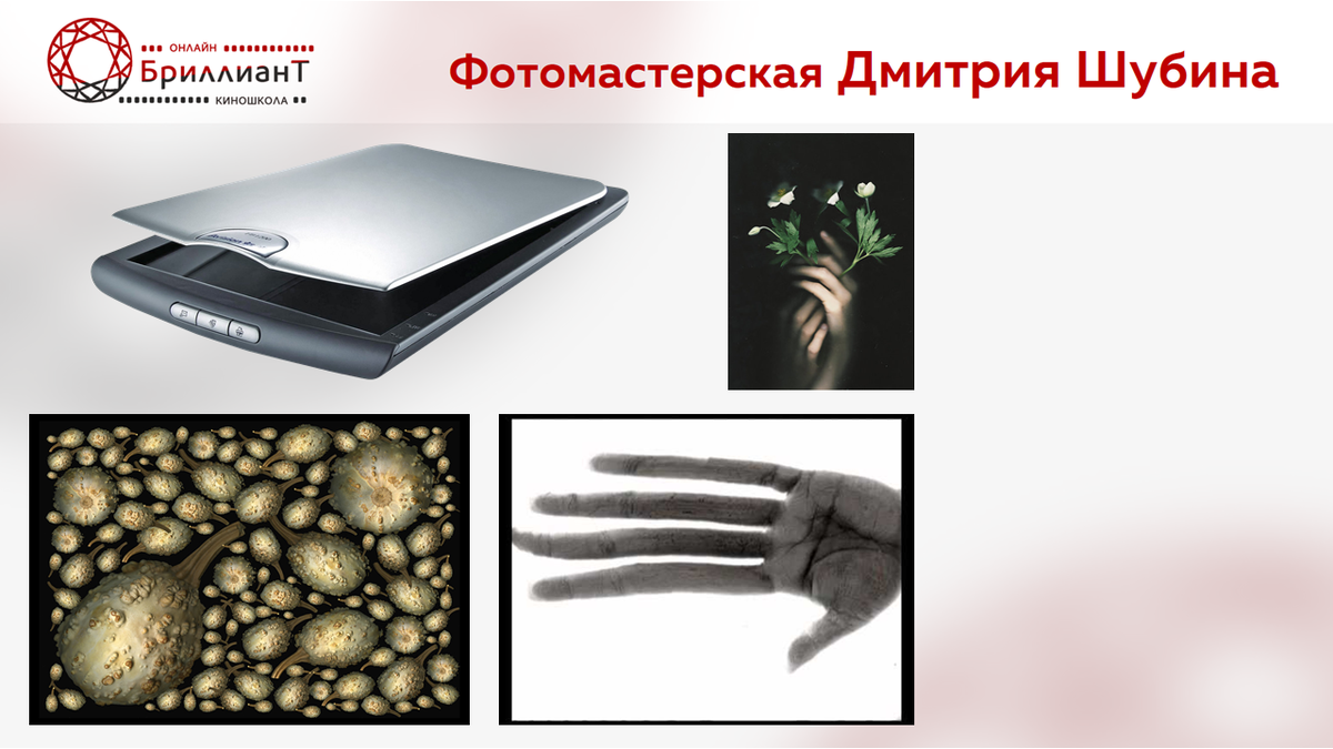 Фотографирование сканером 