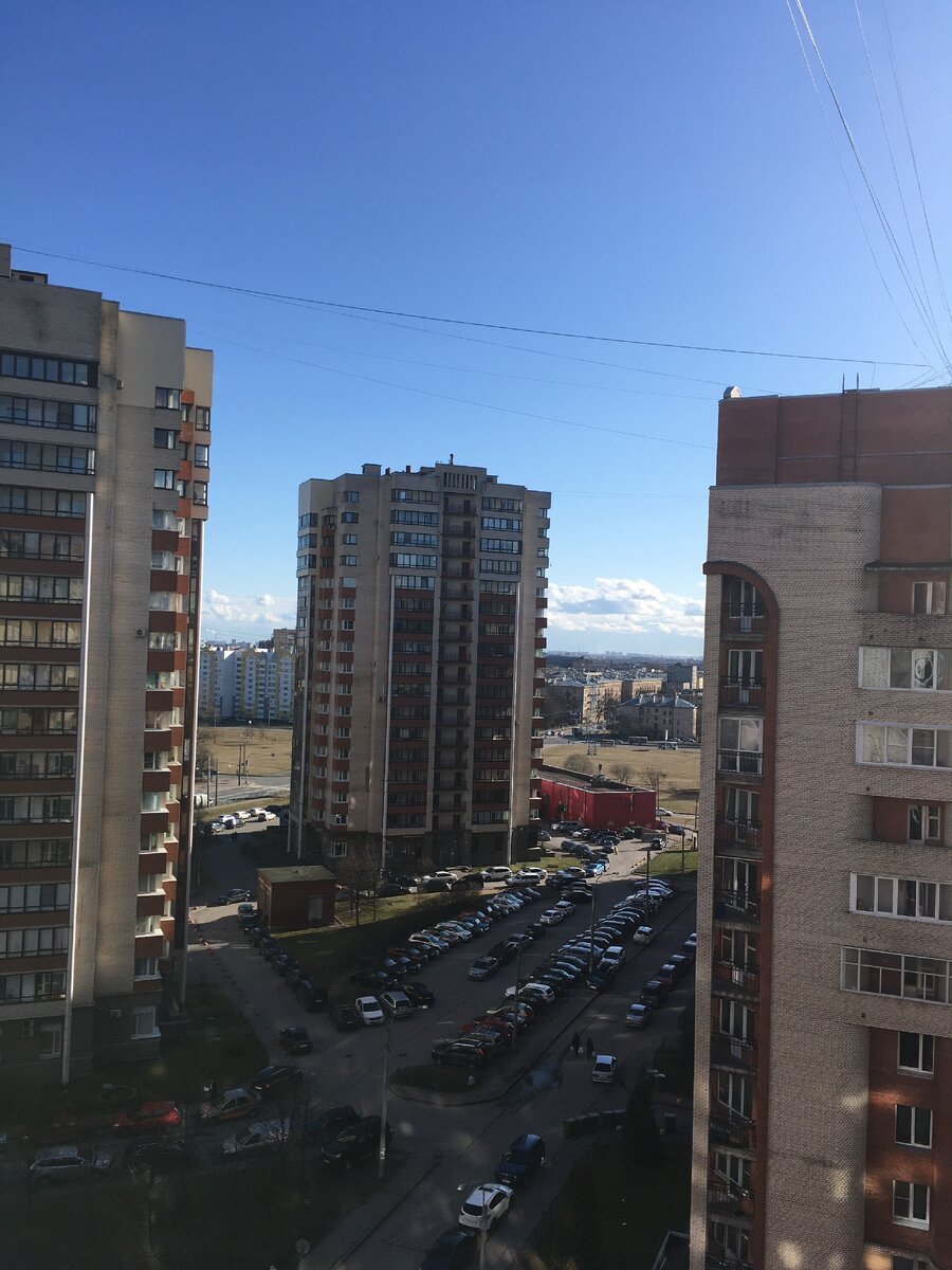 просто фото (мое)