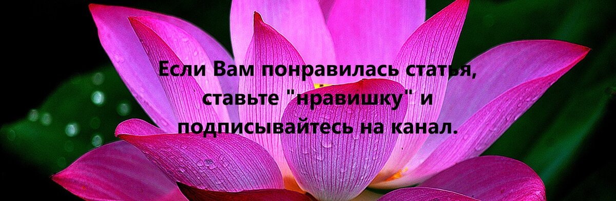 20.04.2020. г. Краснодар. Домоводство. Идеи для затеи.