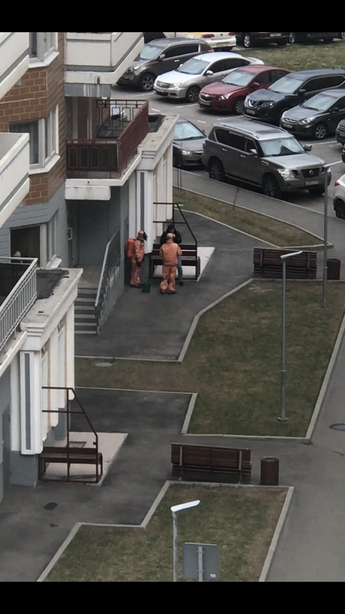 Короновирус 