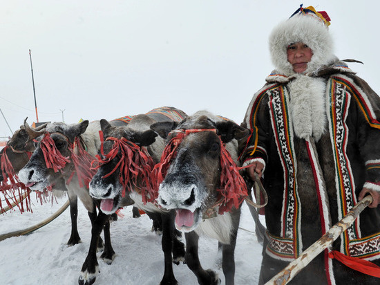 
Фото: правительство ЯНАО