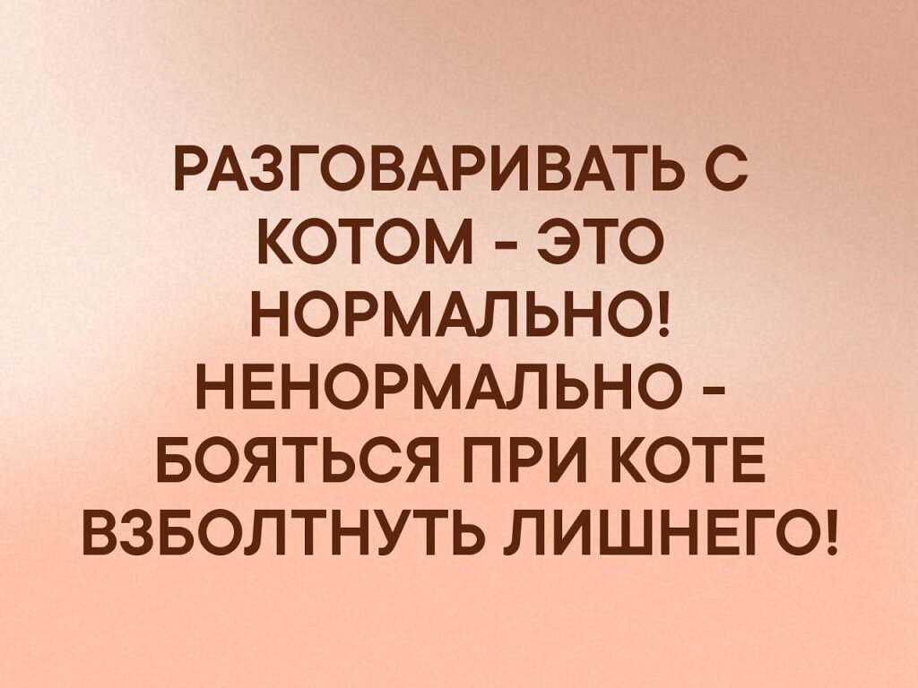 фото с Яндекс.Картинок