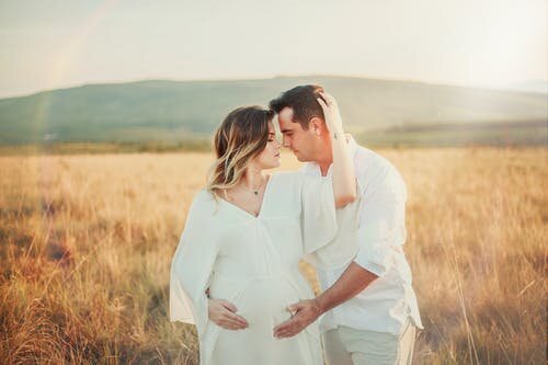https://www.pexels.com/ru-ru/photo/2168821/