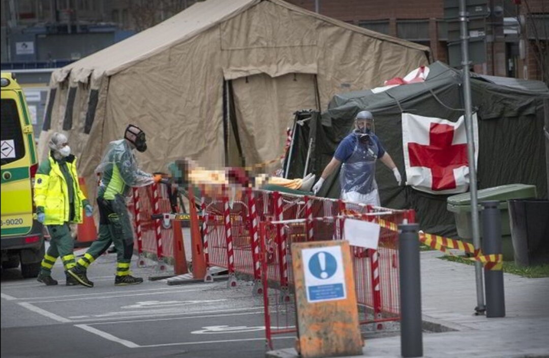 Швеция с момента пандемии. Что сейчас происходит в швеции. Что сейчас происходит в швеции. Акцию с сожжением корана в швеции. Шведы митинг.