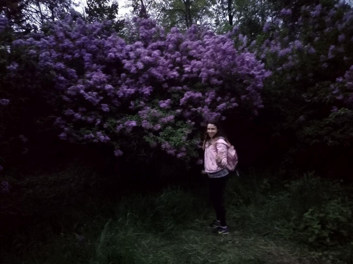 Вот так я собирала сирень в Алматинских горах, подальше от смока и загазованных улиц.