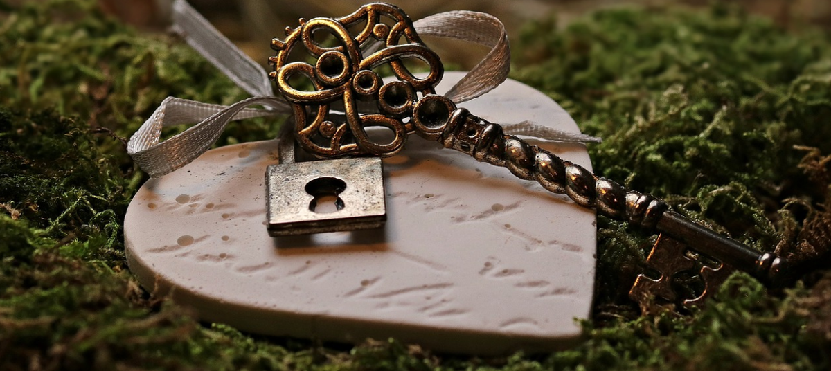 Фотография из разрешенного источника