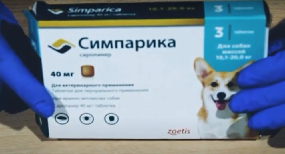 Симпарика - таблетка от клещей и блох для собак