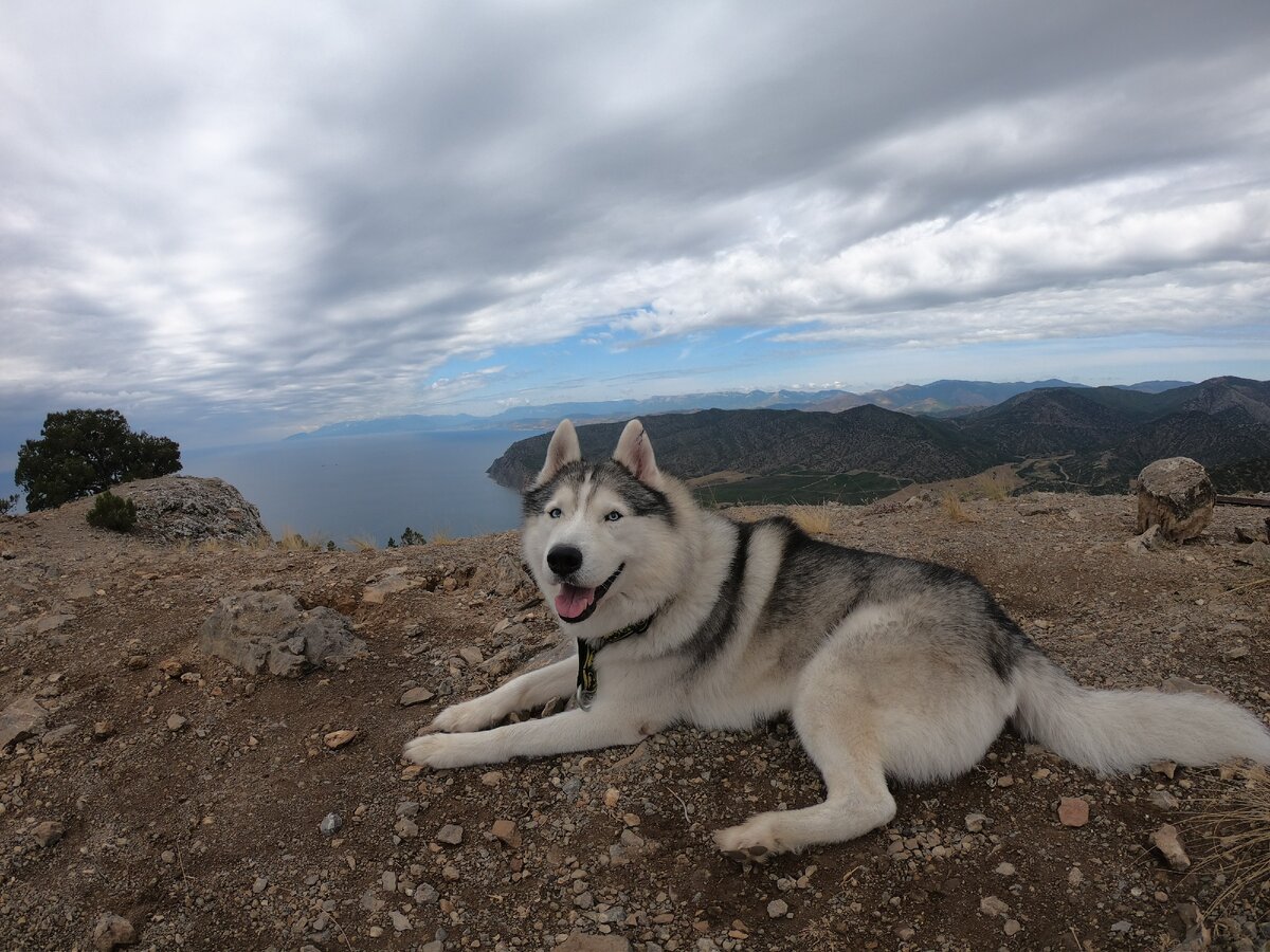 Это Орион на вершине Караул-Оба в Крыму