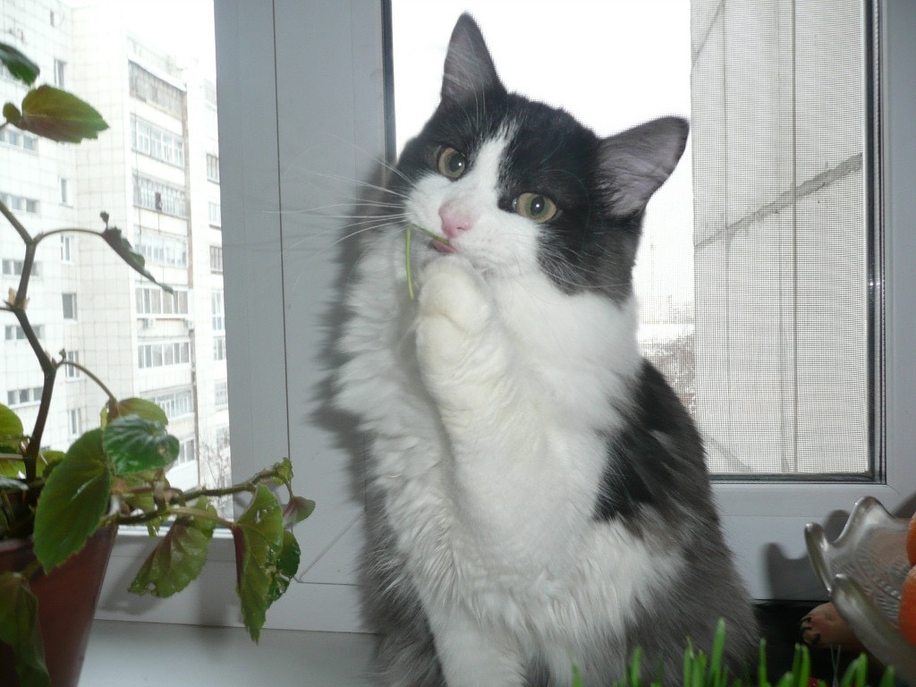 Травка🌿 витамины-то что нужно)