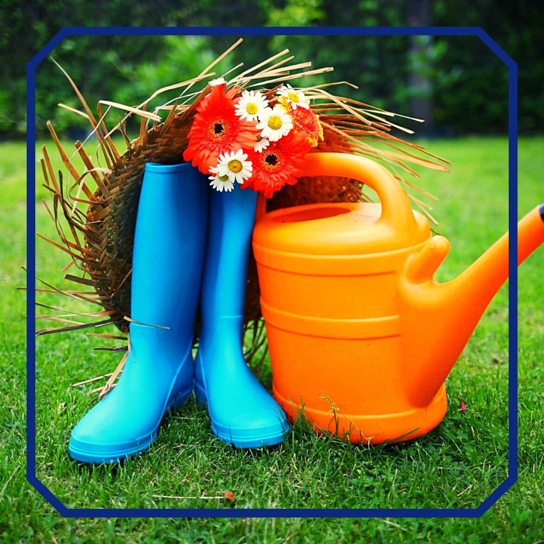 Фото с сайта pixabay.com