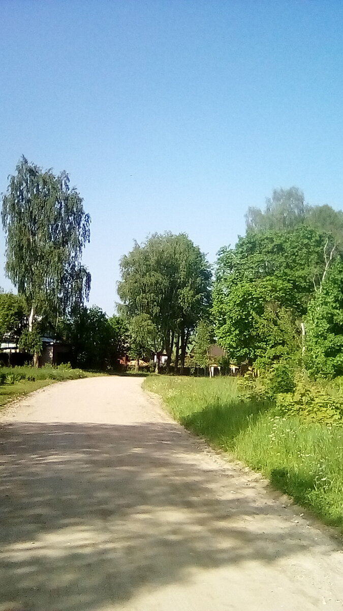 Волнистые улицы.У лица Энгельса.