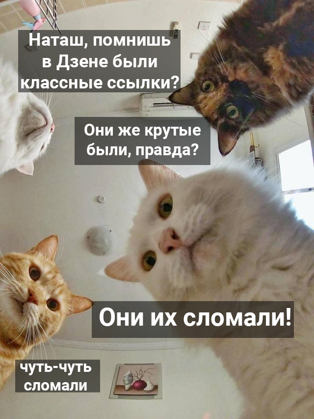 Кот в Дзене. Коты на Дзене. Я В Дзене картинки. Кот в Дзене картинки. Статьи юрия кота