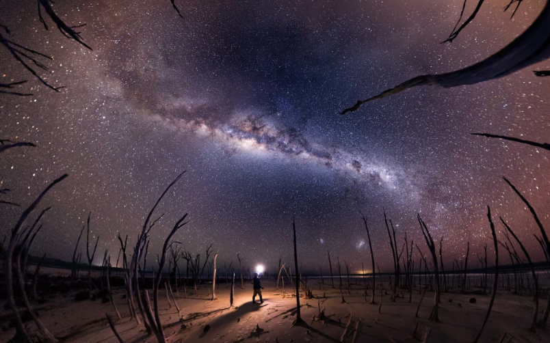 Зловещей берег (Озеро Дамбльюнг, Австралия) Фото: Михаэль Гох