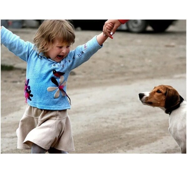 Фото взято из свободного доступа в интернете