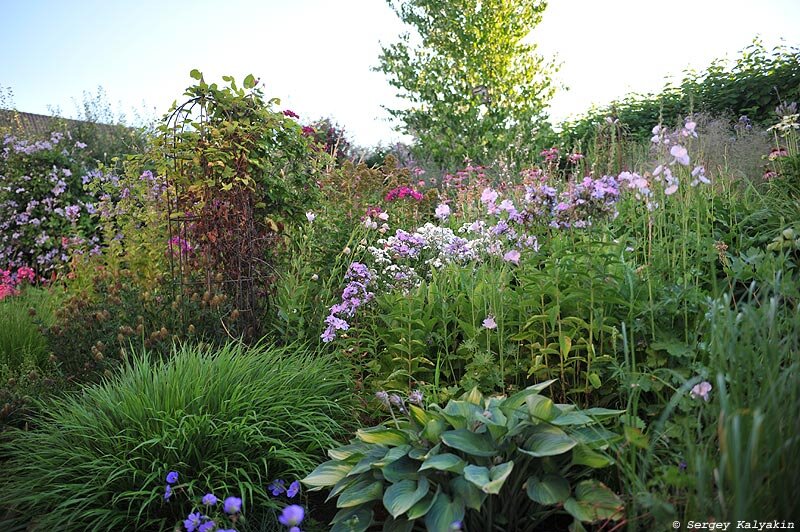 Цветы в ландшафтном дизайне: гортензии, ирисы, розы, флоксы и обриета - 86 фото для сада и дачного участка