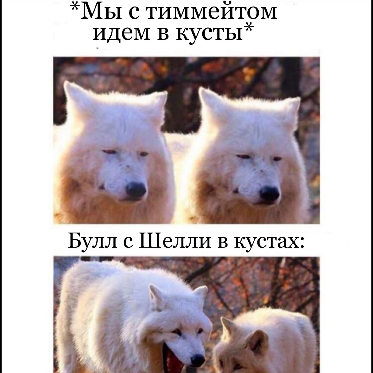 Мем Бравл Старс • 1
