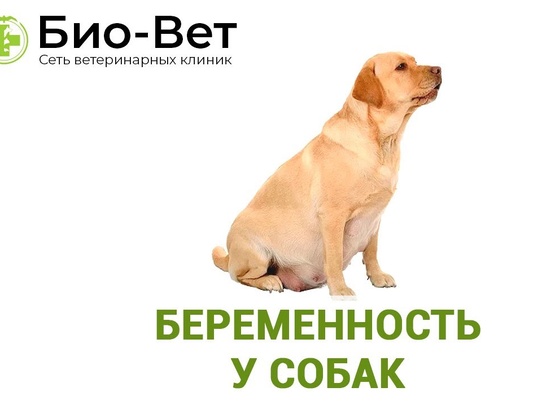 Народные приметы))