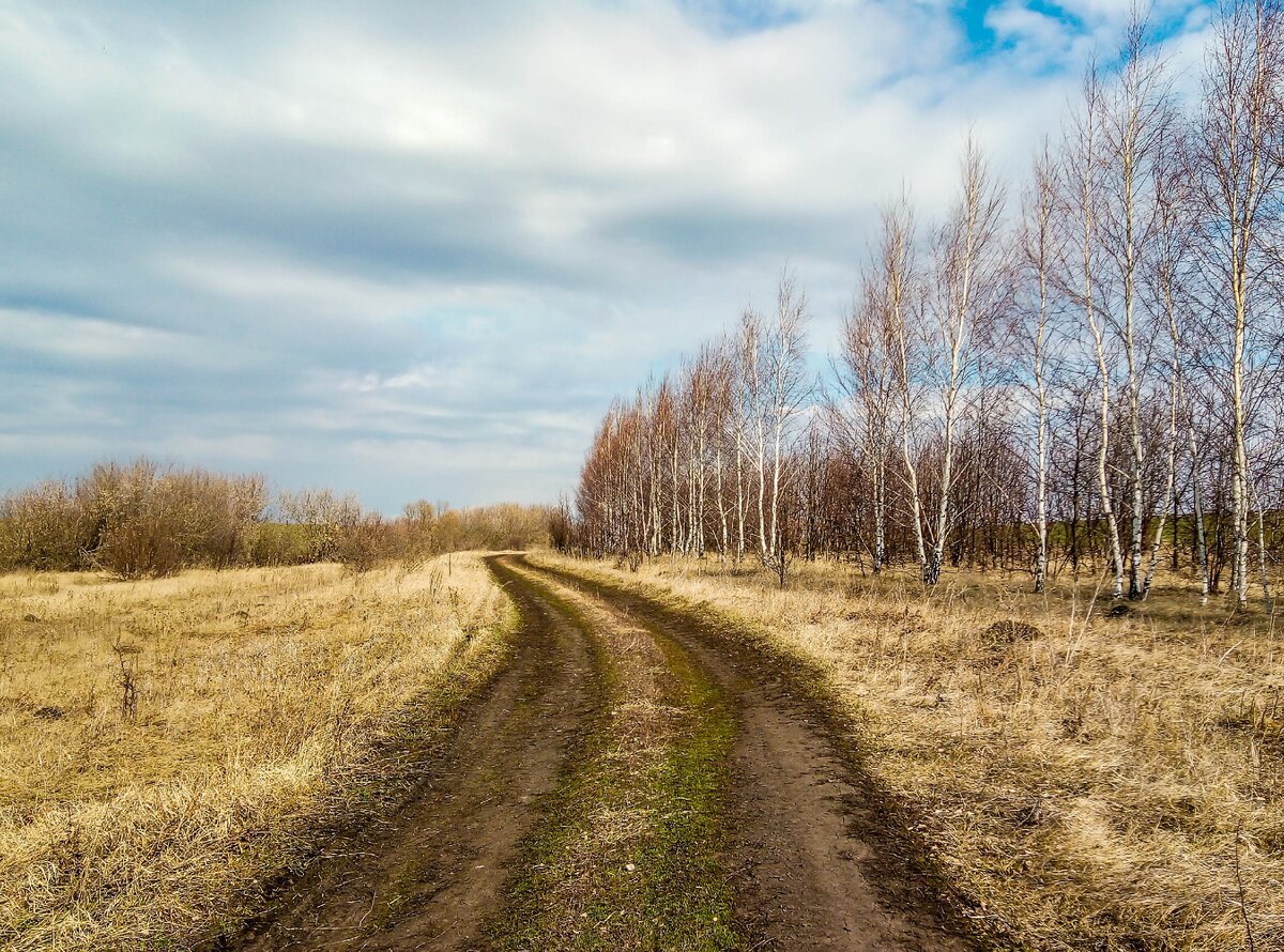 Поселок Победа. Несмотря на удаленность от райцентра и отсутствие дорог,  жизнь в нем продолжается | Прекрасное рядом | Дзен