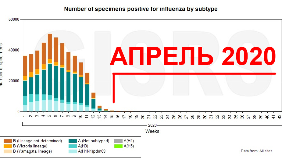 Грипп статистика. Грипп статистика 2021. Грипп статистика 2020. Статистика гриппа в России 2020. Гриппе 2020