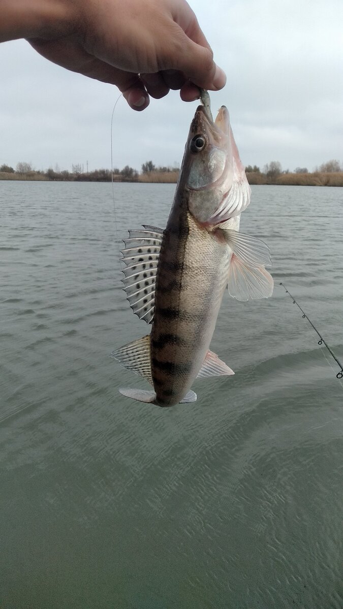 Котлован круглый, конечно же он отпущен.