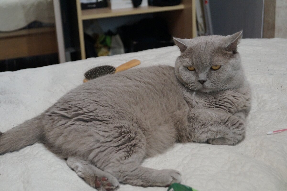 Жизнь, которой я завидую.