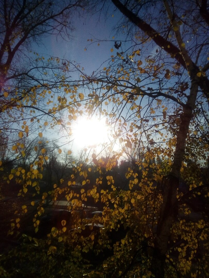 Арабески...Эфирный слой Любви | Светлана Сысолятина | Дзен