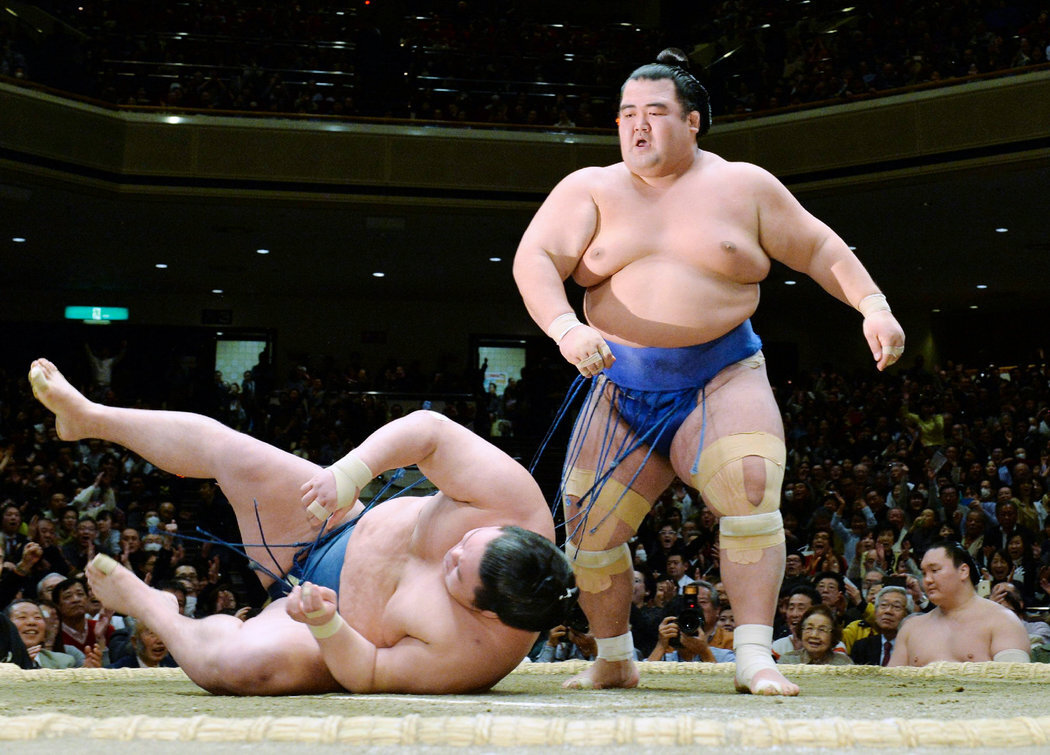 Yokozuna спорт