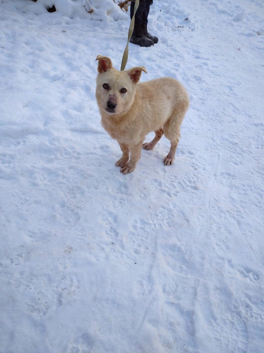 Уехала в Пермь