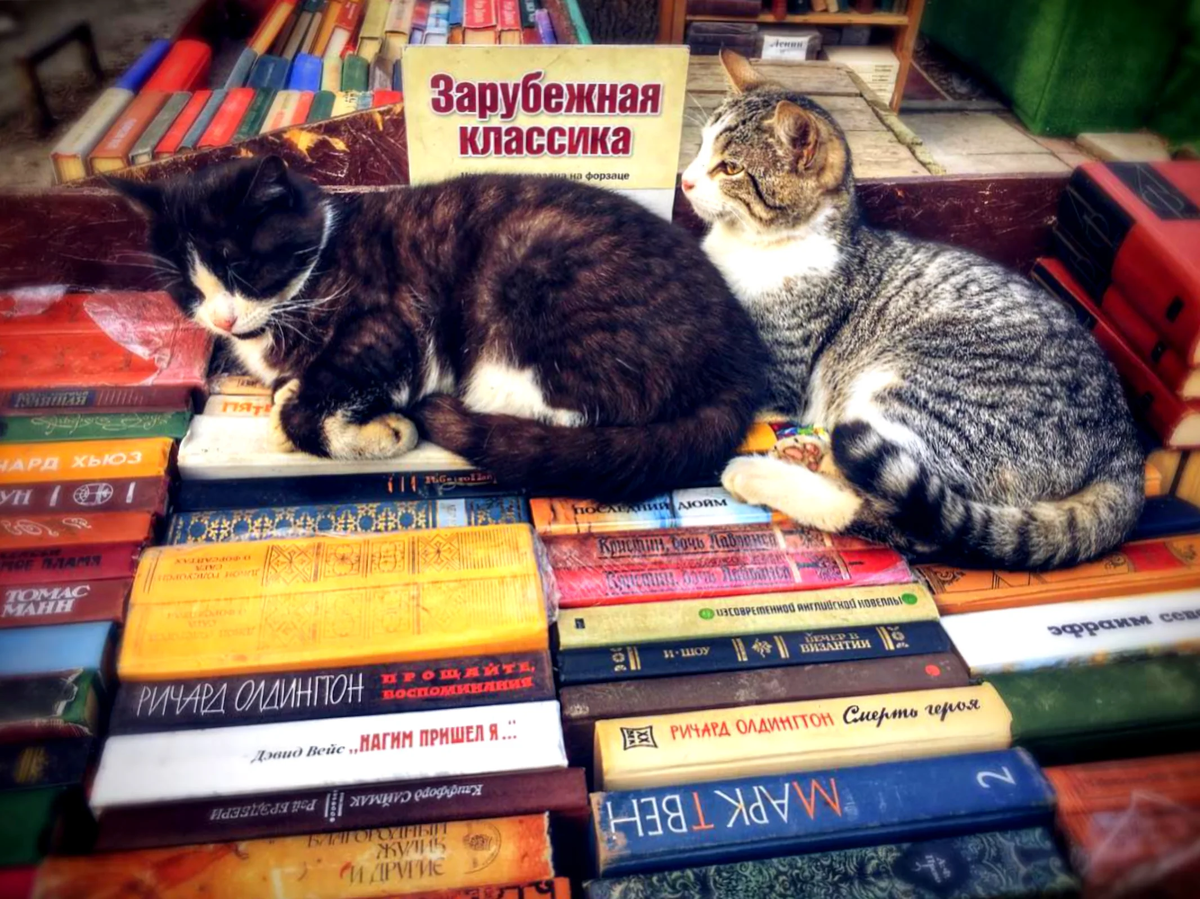 Типичное наполнение «книжного развала» практически до конца девяностых, в следующем «лотке» будет «золотой фонд отечественной литературы», за ним — «новинки зарубежной фантастики».
Да, котэйки тоже зачастую в это «типичное наполнение» входили;)