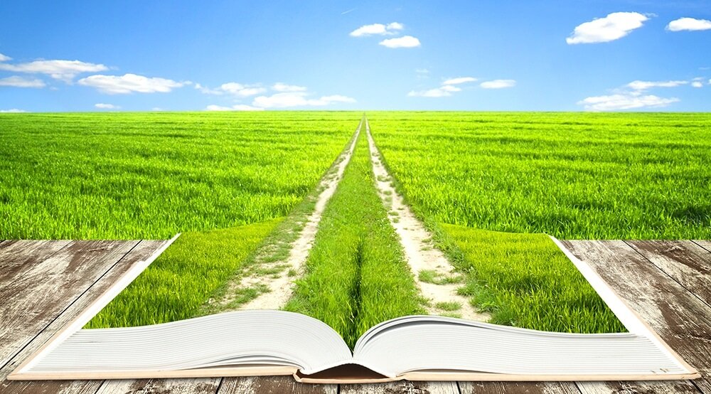 Фото: dreamsphoto.ru