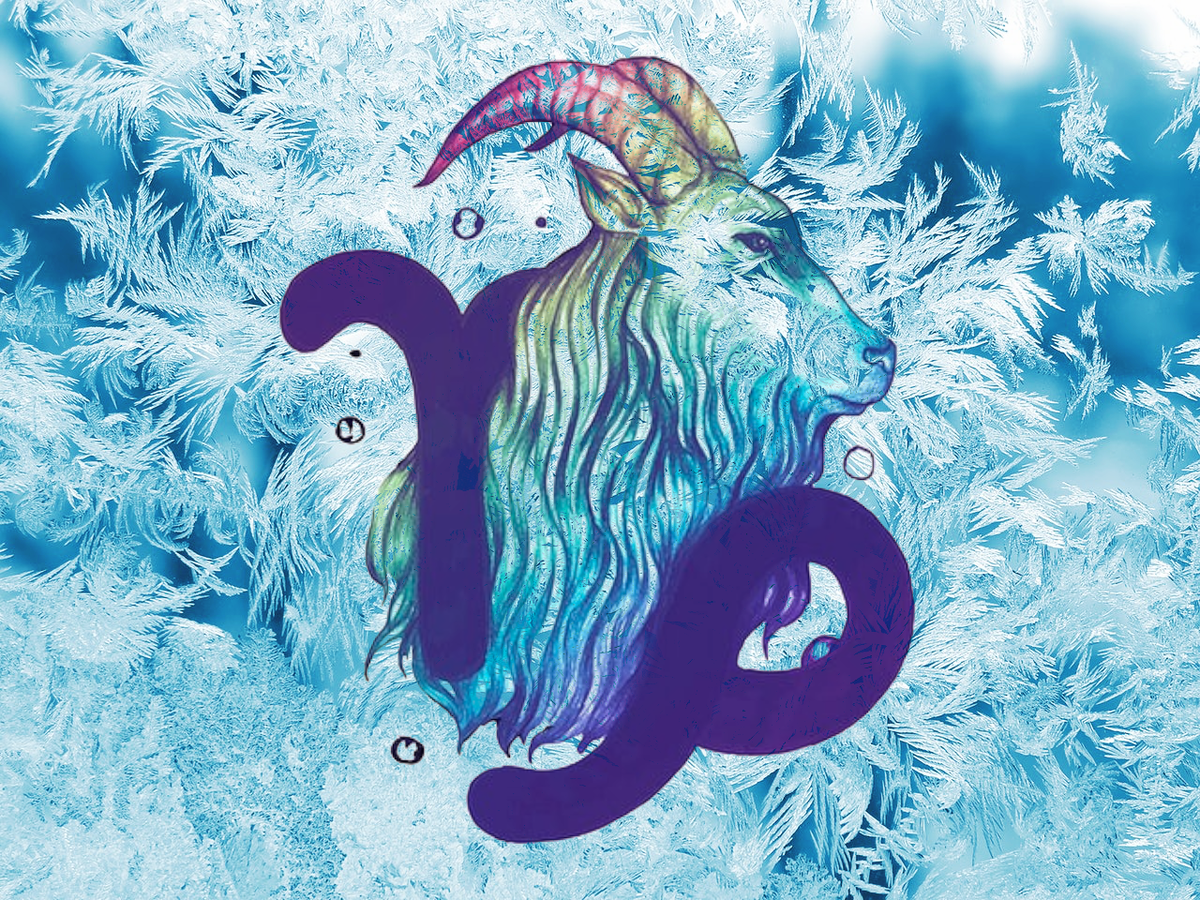 Козерог (22 декабря - 20 января)