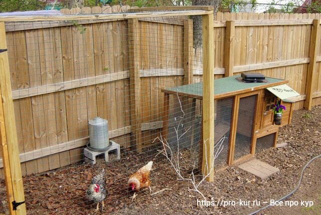 Курятник - Chicken coop