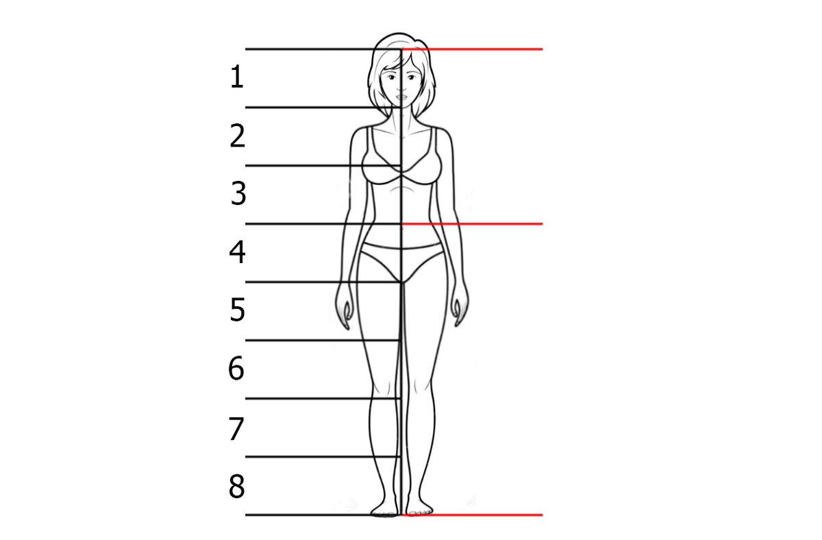 Фигура 8 сторон. Высота головы. Средняя высота головы женщины. Идеальная фигура замеры. Высота головы в см.