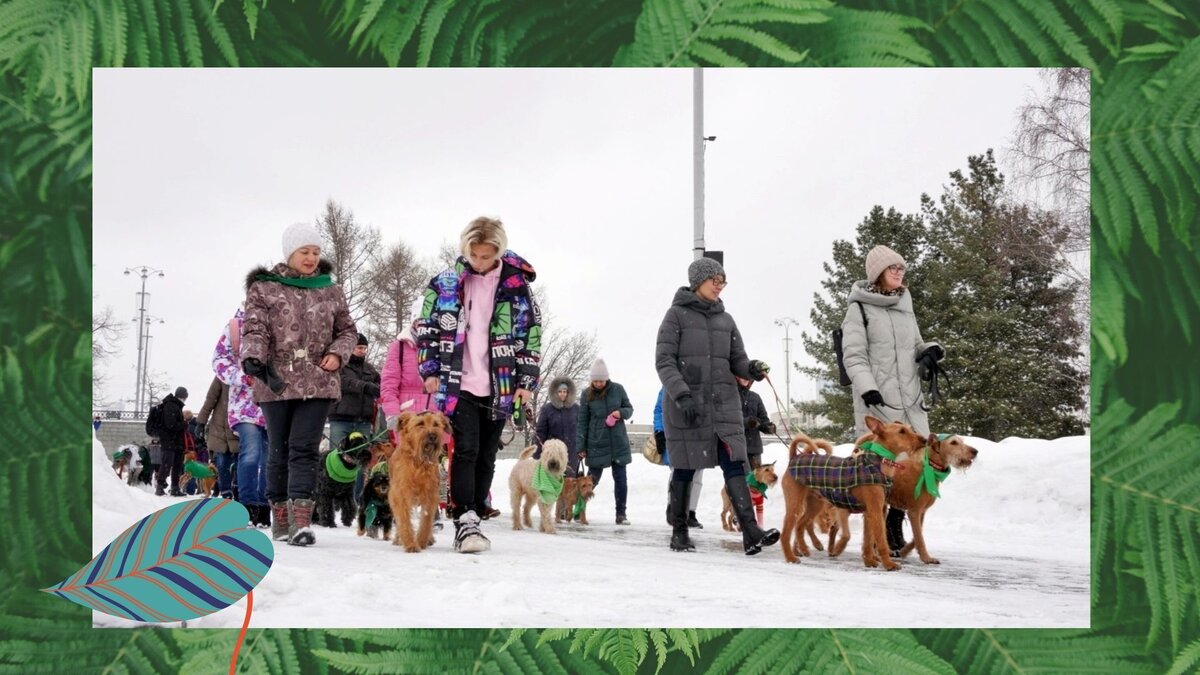 Марш терьеров. Марш-марш левой!