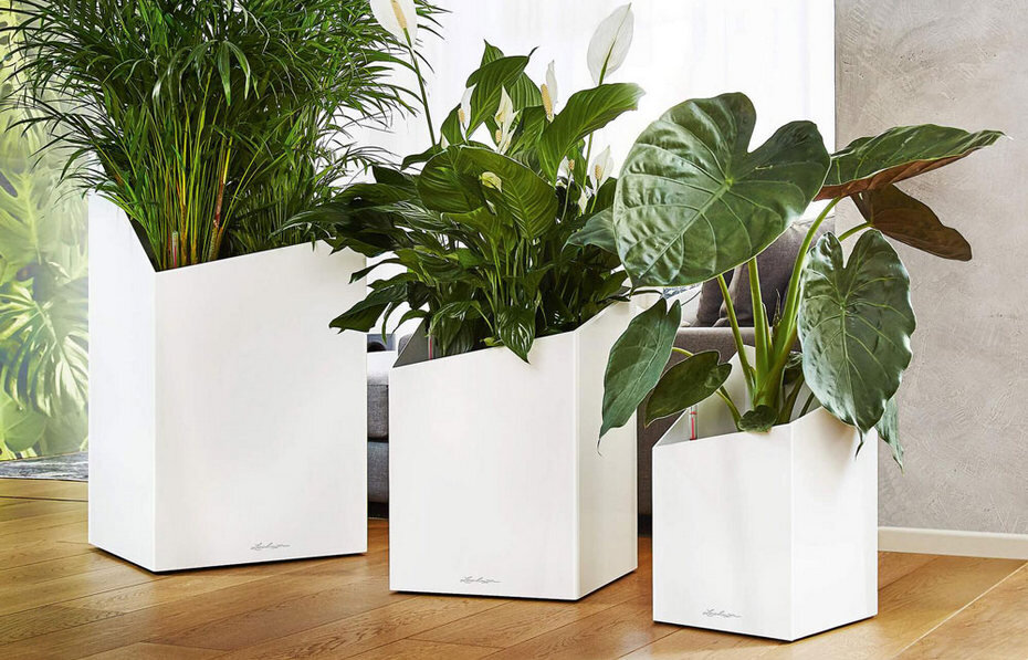Крупные кашпо для напольных растений
