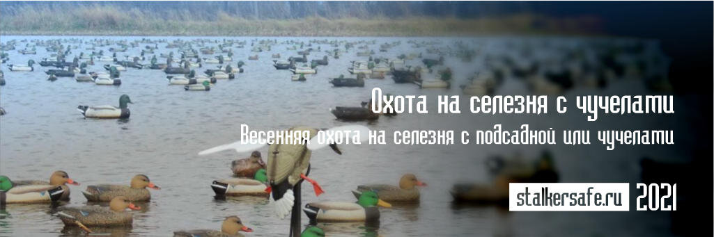 Интернет-магазин Stalkersafe.ru