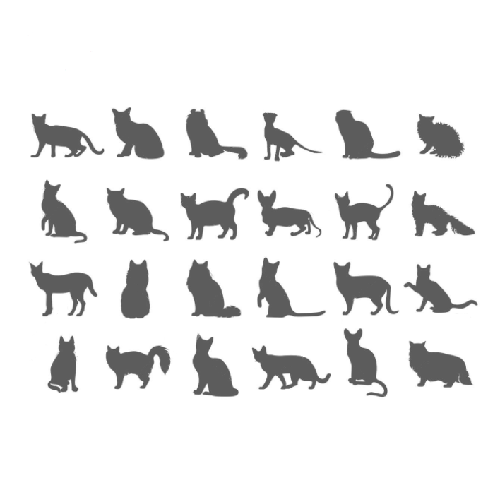 Характерные отличия у пород