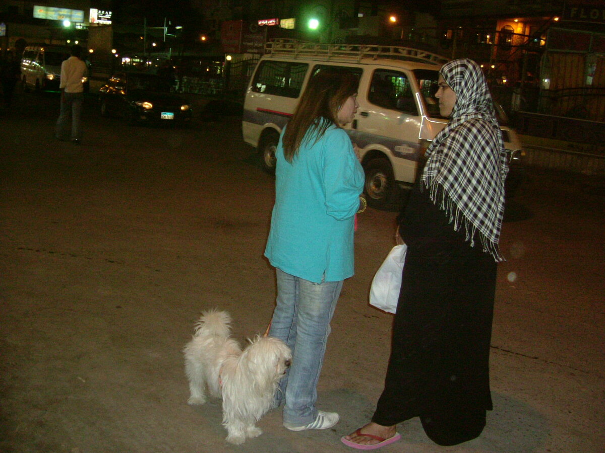 Арабки выходят на улицу к вечеру