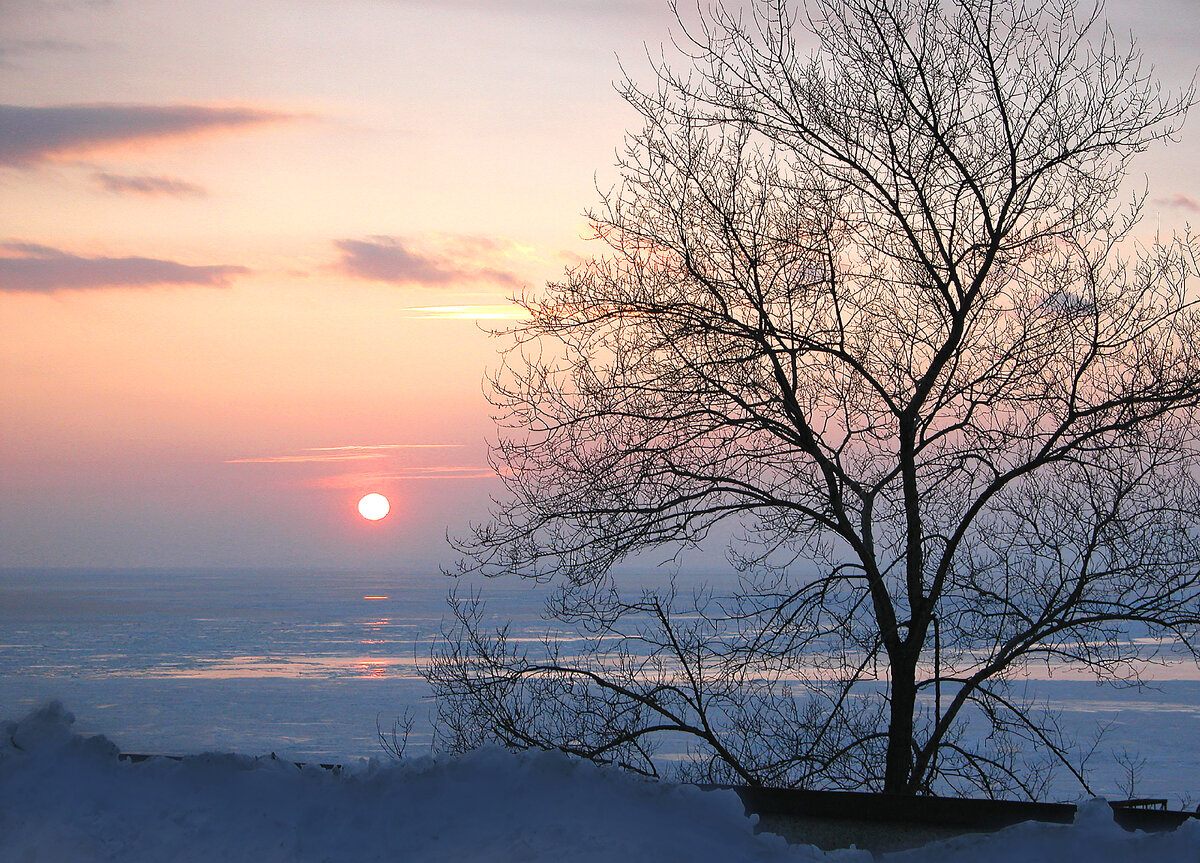 ветров мглу. ветров мглу. ветров мглу. песчаная буря в астрахани. мгла на небе.