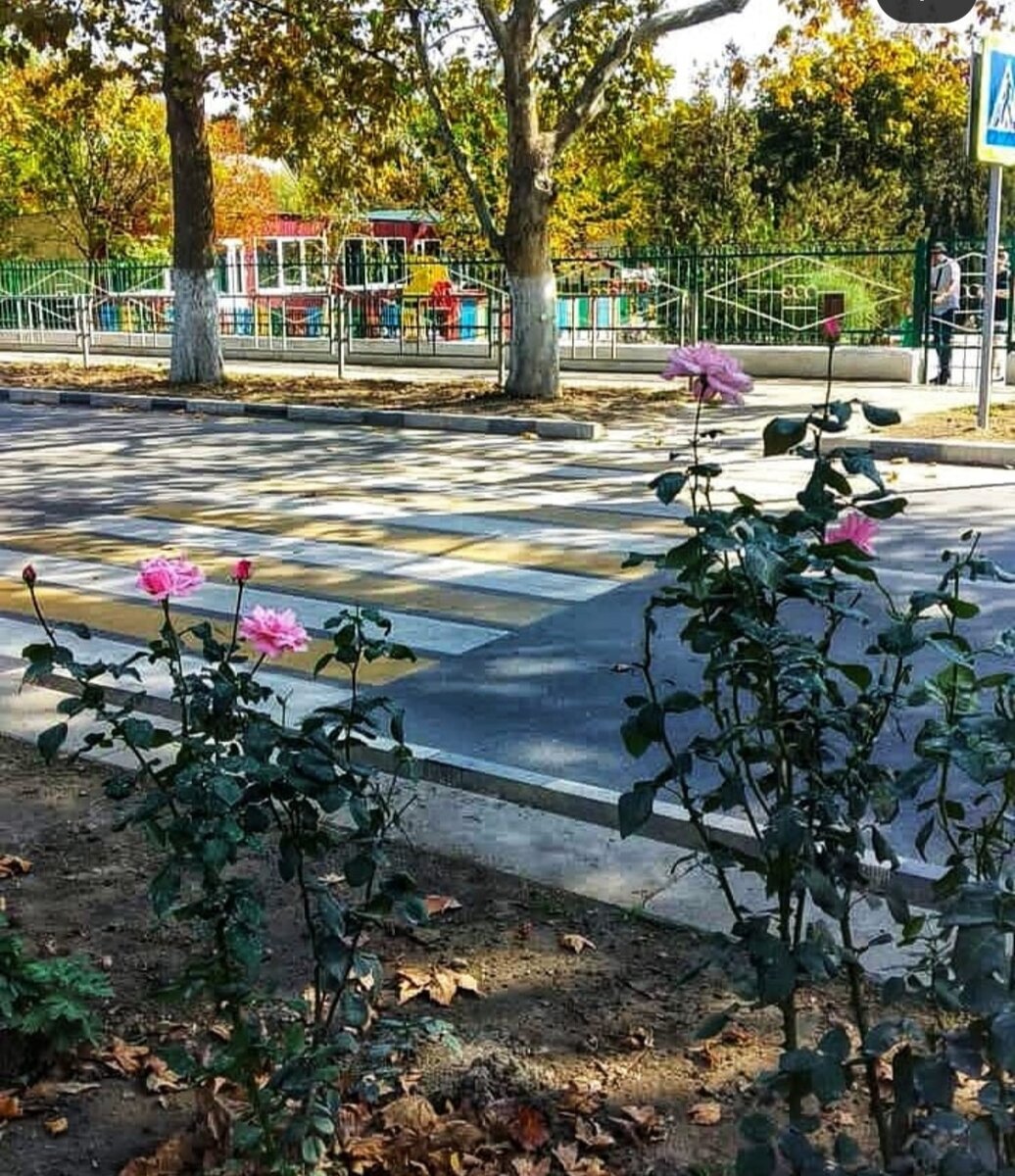 Чудесный октябрьский день. 