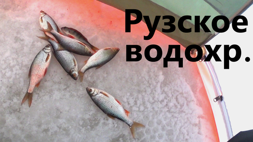 Ловля плотвы. Февраль, Рузское водохранилище