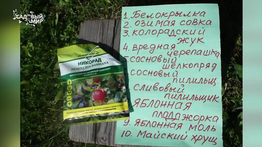 Скачать видео: Это удивительное средство поможет справиться с десятком садовых вредителей без вреда для растений