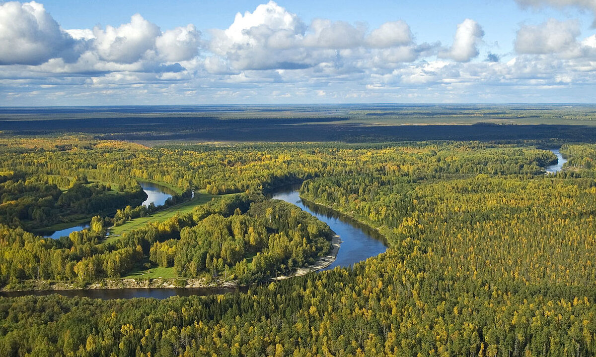 Река Васюган в Томской области. Источник изображения: wikimedia.org