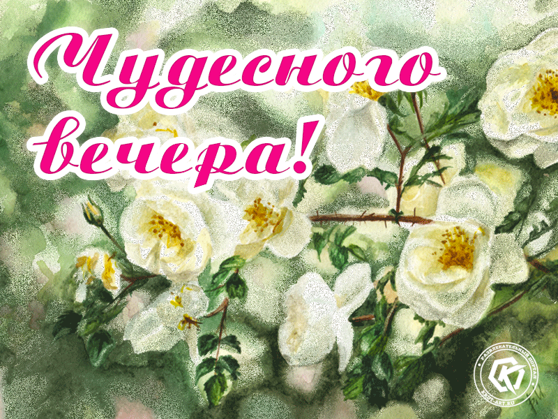 Мерцающая картинка с розами и пожеланием чудесного вечера, красивая анимация с приятными пожеланиями на каждый день