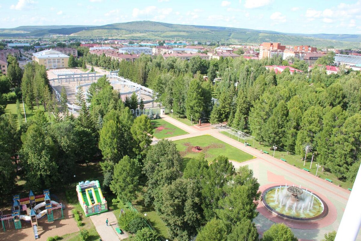 Дендрарий лосиный остров фото