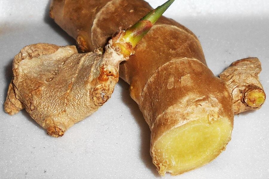 ФОТО «СПб ведомости»