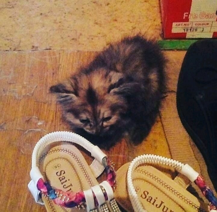 Моя прелесть три года назад. 😍😍😍