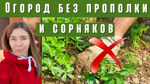 Как избавиться от сорняков на участке без прополки и химии