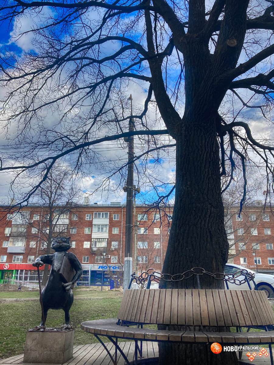 Учёный кот в Ижевске