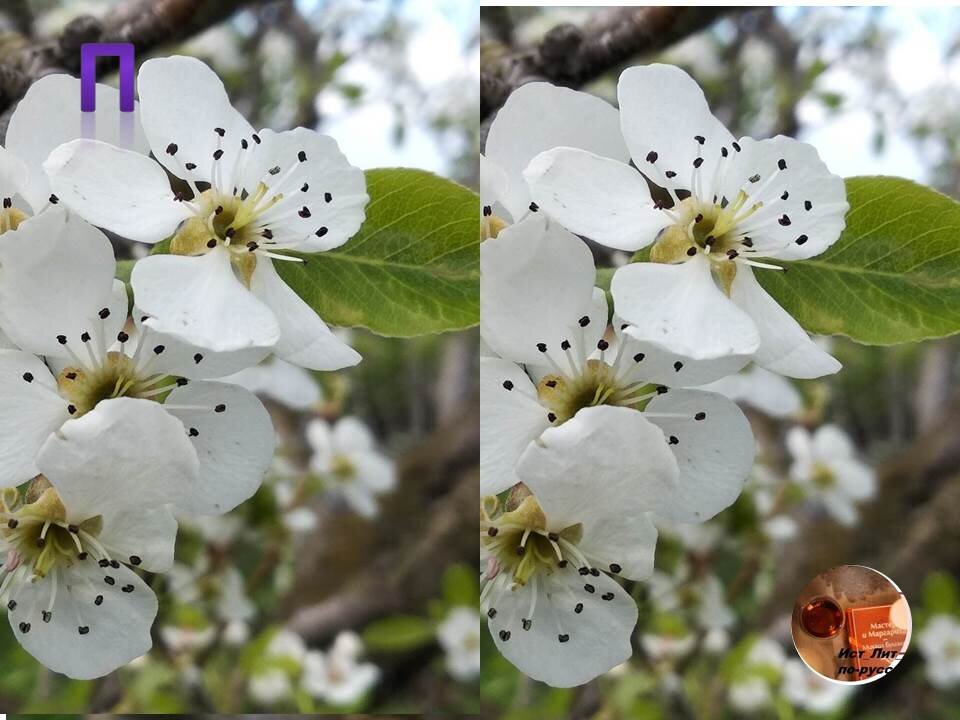 фото  автора